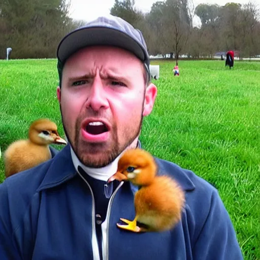 Image similar to how dare you a full grown man yelling at baby ducks
