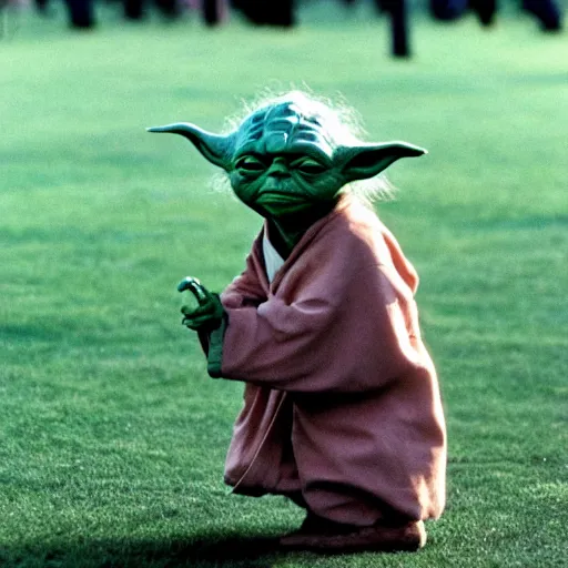 Image similar to yoda performing at woodstock