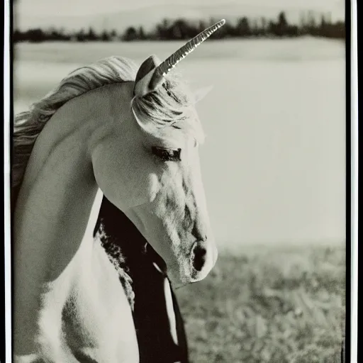 Prompt: grainy head to shoulder portrait polaroid film photograph of a unicorn in a national state park wearing aviator shades. super resolution. surreal. extremely detailed. polaroid 6 0 0 film. by annie leibovitz and richard avedon