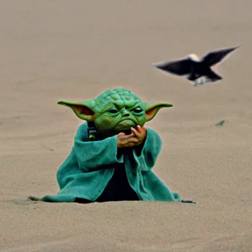 Image similar to sad real life Yoda on a beach, seagulls pecking Yoda’s head