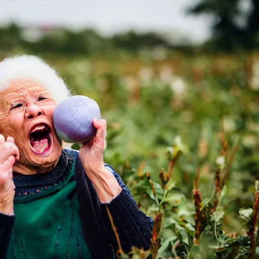 Image similar to elderly woman screaming at a turnip, canon eos r 3, f / 1. 4, iso 2 0 0, 1 / 1 6 0 s, 8 k, raw, unedited, symmetrical balance, wide angle