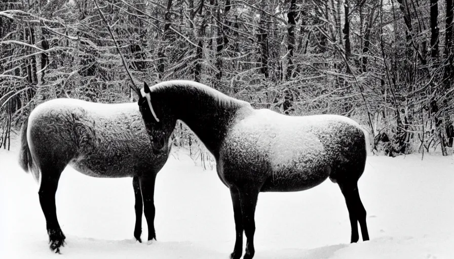 Image similar to 1 9 6 0 s movie still close up of marcus aurelius frozen to death under the snow, a horse frozen under the snow by the side of a river with gravel, pine forests, cinestill 8 0 0 t 3 5 mm, high quality, heavy grain, high detail, texture, dramatic light, anamorphic, hyperrealistic, detailed hair, foggy