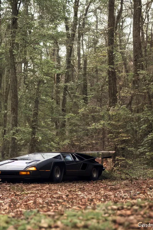 Image similar to 1988 Lamborghini Countach floating in mid-air Abandoned in the Woods