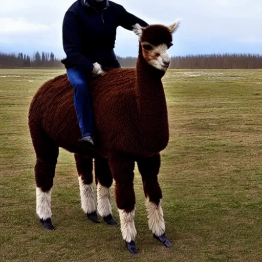 Image similar to vladimir putin riding a cute alpaca, epic shot
