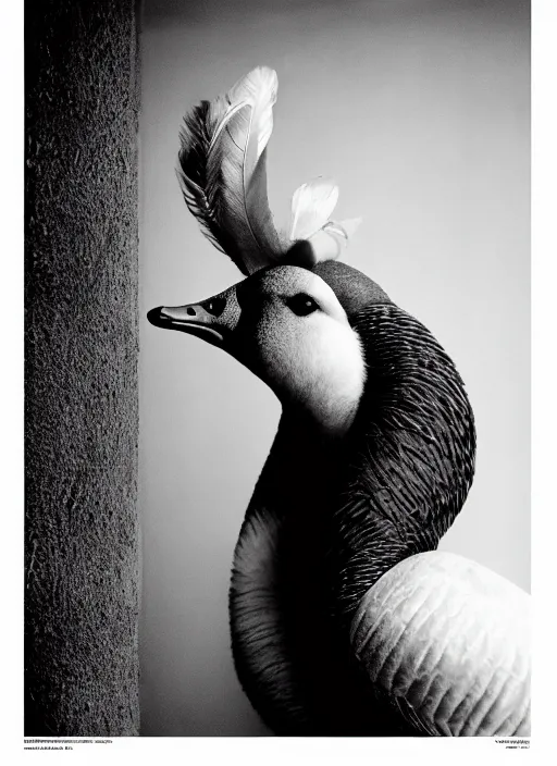 Prompt: portrait of goose ryan gosling with a beak and feathers, natural light, sharp, detailed face, magazine, press, photo, steve mccurry, david lazar, canon, nikon, focus