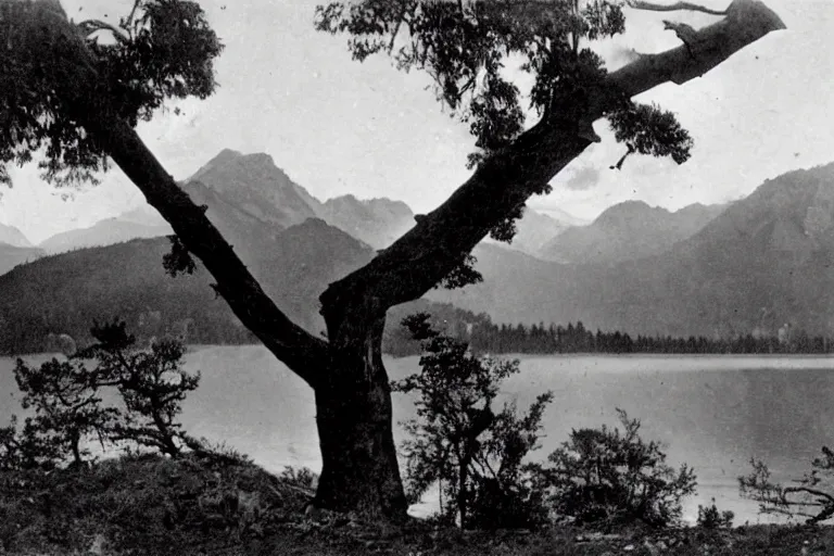 Image similar to very old photo of a landscape of mountains with lake and a dead tree in the foreground, , 1920