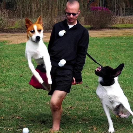 Image similar to dog juggling