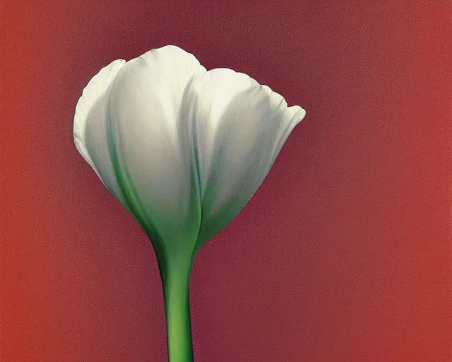 Image similar to rule of thirds the tulip, an ultrafine detailed painting by rafal olbinski, behance contest winner, pop surrealism, detailed painting, very detailed, minimalist, skeuomorphic, airbrush art