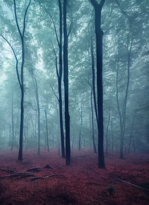 Image similar to a picture of a forest with a sky background, a detailed matte painting by elsa bleda, featured on unsplash, tonalism, soft mist, mist, made of mist