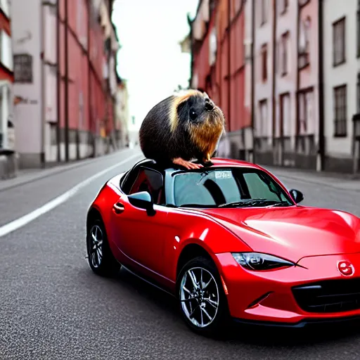 Image similar to a photograph of a guinea pig sitting on the hood of a red mazda mx-5, standing on a road in Stockholm