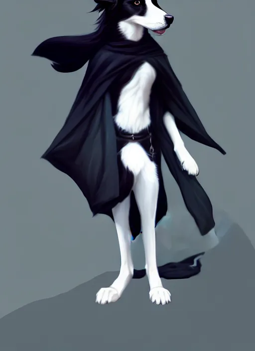 Image similar to wide angle beautiful full body portrait of a cute male anthropomorphic anthro border collie fursona wearing black robes, character design by charlie bowater, henry asencio, and ross tran, furry art, furaffinity, beautiful, glamor pose, detailed, aesthetic, trending on artstation