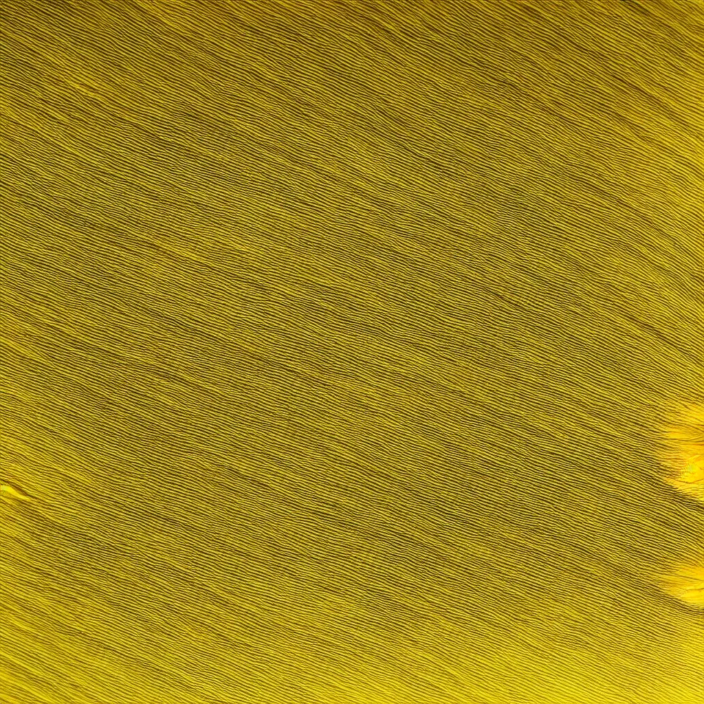 Image similar to close - up view of a feather on yellow background, 8 k, high detail, photorealistic, proper shading