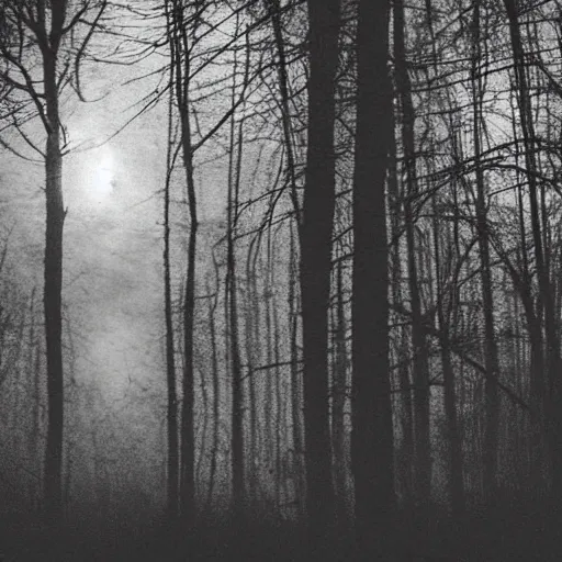 Image similar to grainy surveillance photo still of an alien in the woods at night hiding in the trees of a forest, low contrast, atmosphere, moonlight through trees