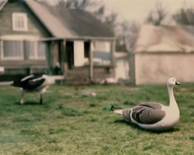 Image similar to a movie still from 'A Goose Set my House on Fire', 40mm tape, technicolour film, goose in foreground!!!!, housefire!, letterboxing, widescreen