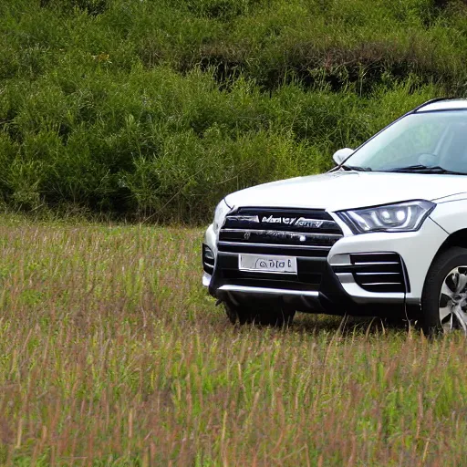 Image similar to Haval in middle of green field