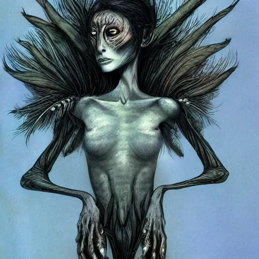 Prompt: detailed illustration of attractive humanoid alien species with beautiful human female face, female human torso, dark fae, black feathers instead of hair, feathers growing out of skin, wings growing out of arms, transformation, brian froud, tim burton, guillermo del toro