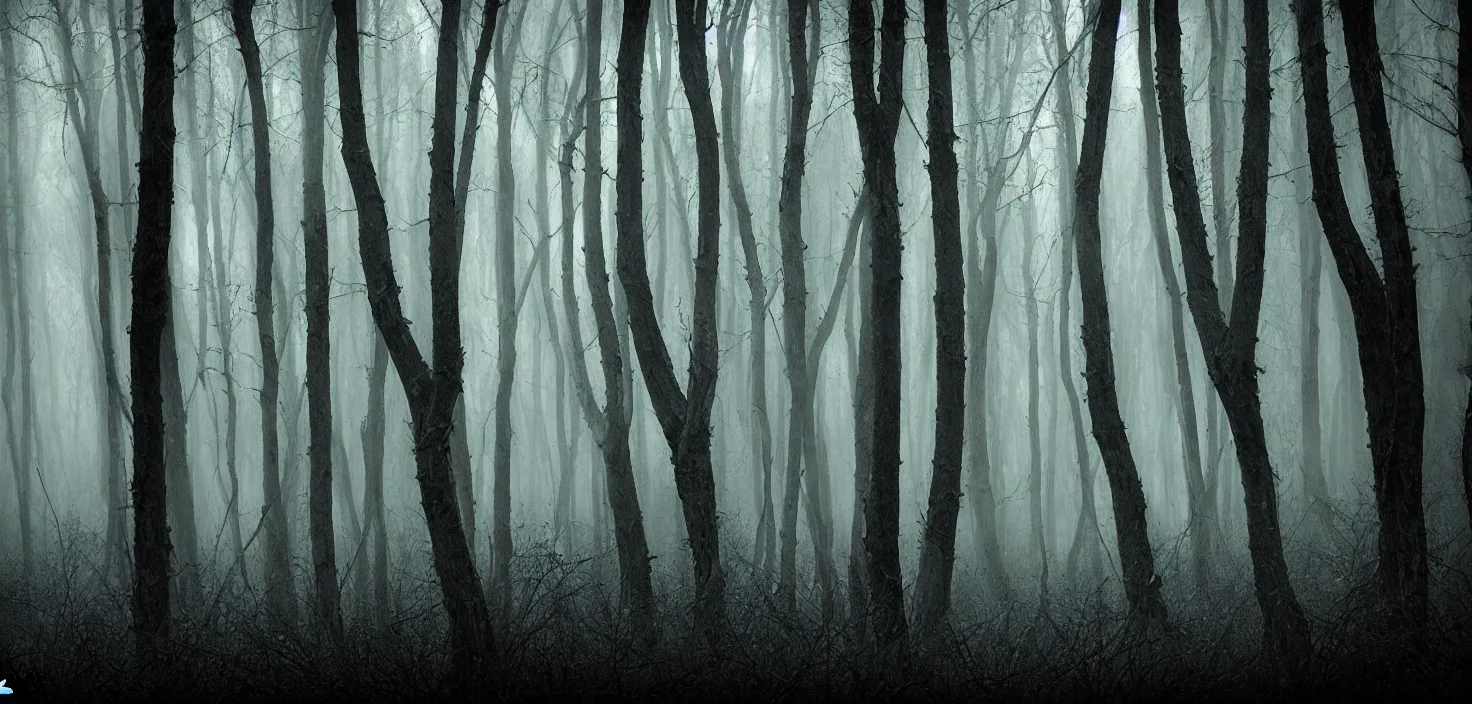 Prompt: dark forest by bleda elsa