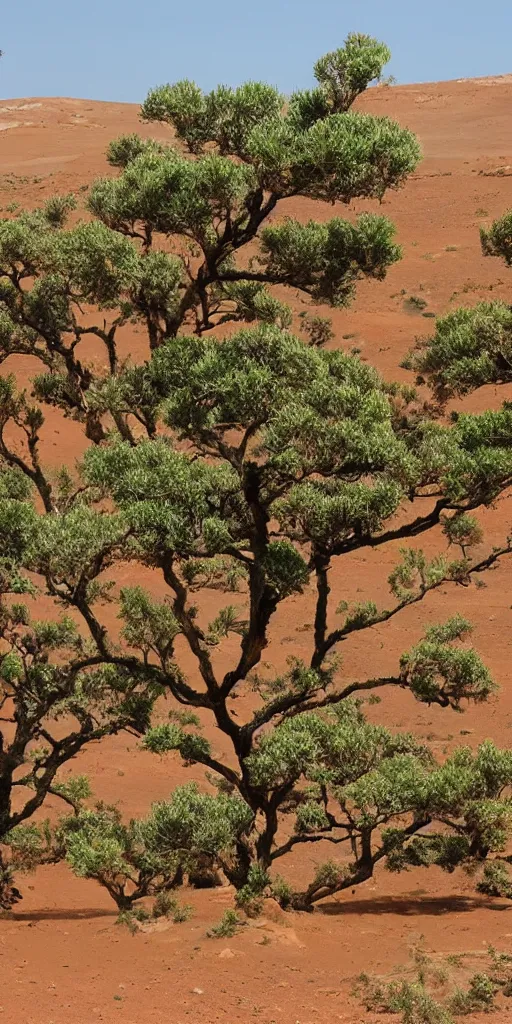 Image similar to old tea trees in mars
