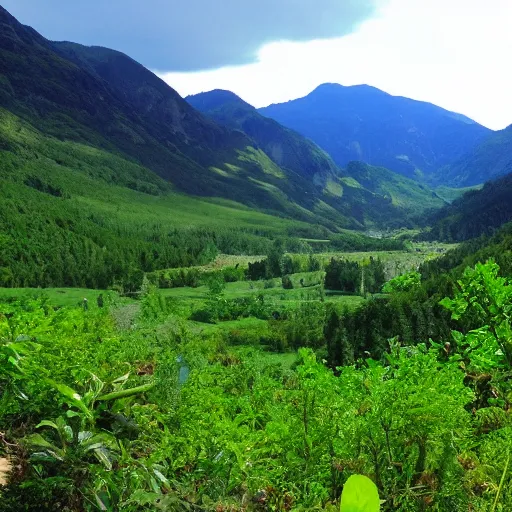 Image similar to a beautiful valley with special plants, photo