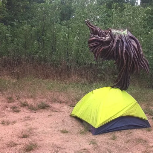 Prompt: Guys! Look at what I found at the campsite! I’m really confused it looks sort of alien creature. It is outside my friends tent and it’s giant. I’m kind of scared.