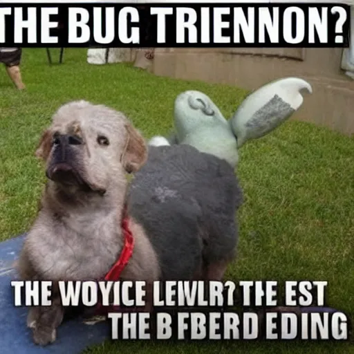 Image similar to the most random thing ever.