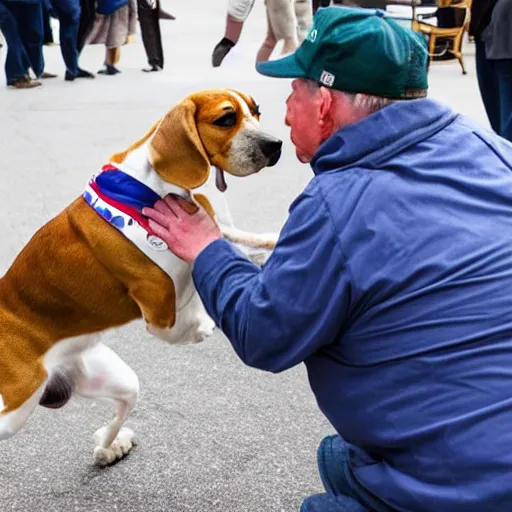 Image similar to beagle getting into fist fight with trump supporter