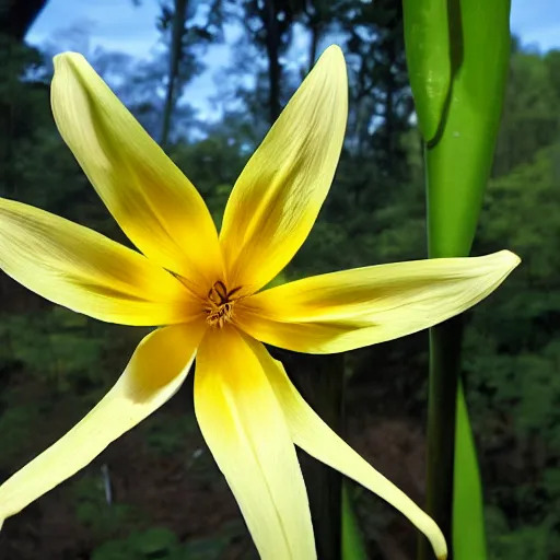 Prompt: cahaba river alabama, hymenocallis coronaria,