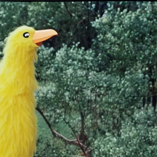 Image similar to a film still of big bird in birds ( 1 9 6 3 ) technicolor