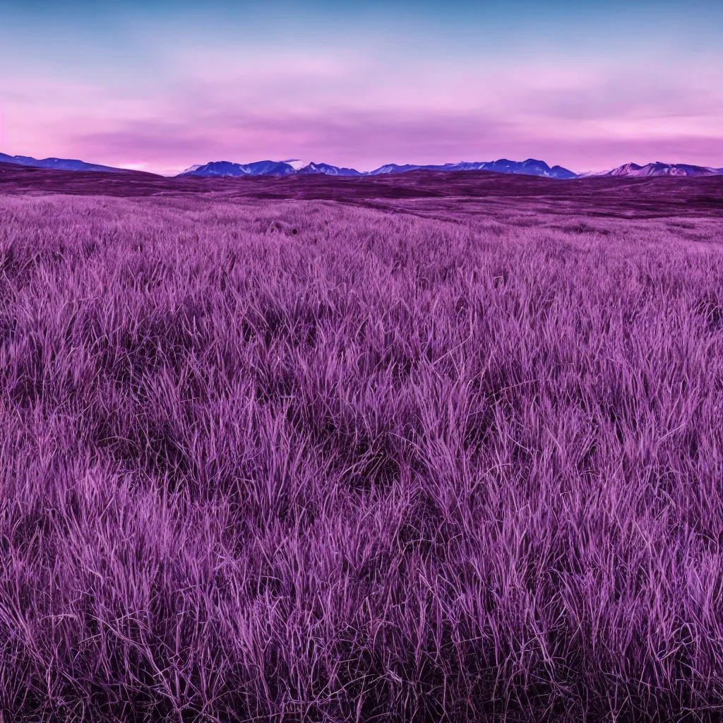 Prompt: fields of white grass, shadowed mountains in the horizon, black sky with an everlasting purple dusk, etheral, epic, highly detailed, high resolution, 4 k, 8 k, hyperrealistic landscape