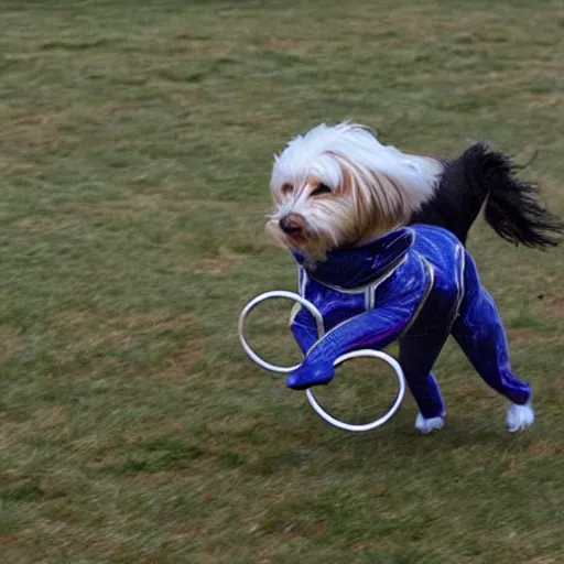 a spinning dog Stable Diffusion