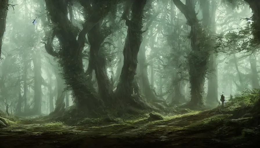 a beautiful establishing shot of old forest, brook, by