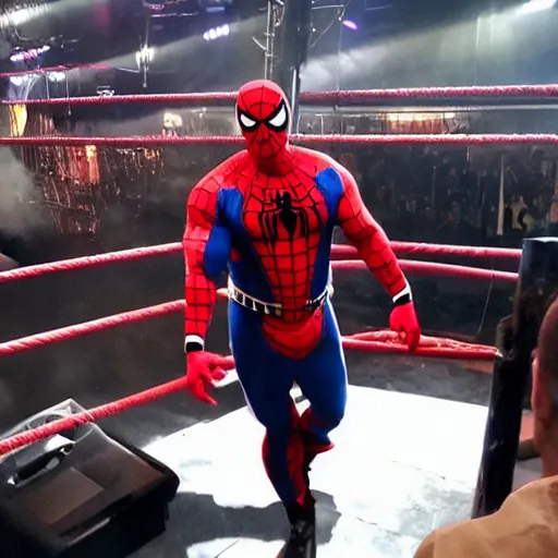 Image similar to dwayne johnson promo on ring wearing spiderman costumes