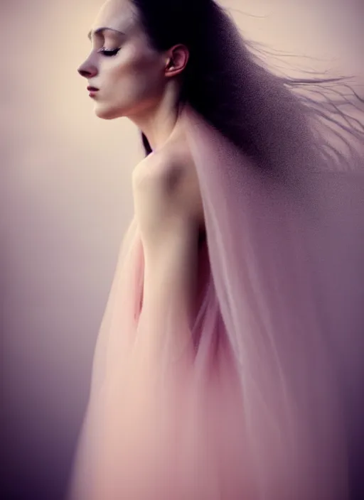 Image similar to portrait photography of a beautiful woman, in fine art photography style of Giovanni Gastel , britt marling style 3/4 , natural color skin pointed in rose, the hair is like stormy clouds, full body dressed with a ethereal transparent voile dress, elegrant, 8K, soft focus, melanchonic soft light, volumetric dramatic lighting, highly detailed Realistic, hyper Refined, Highly Detailed, natural point rose', outdoor soft lighting, soft dramatic lighting colors scheme, soft blur lighting, fine art fashion photography