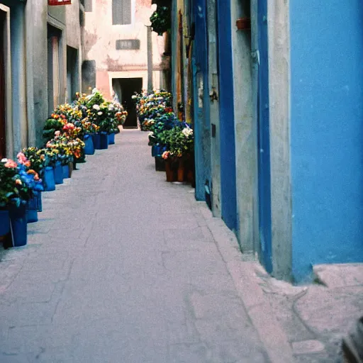 Image similar to kodak portra 8 0 0, flickr photograph view of a calm hallway street street with blue roses!! blue flowers! in downtown neo - venezia in a dreamy afternoon, a corner shop can be seen selling flowers! flower shop!!!