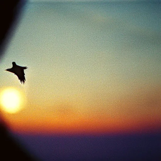 Image similar to Realistic POV shot of a dove flying over the clouds at sunset, ethereal, vintage photograph, film grain, surreal, awe-inspiring