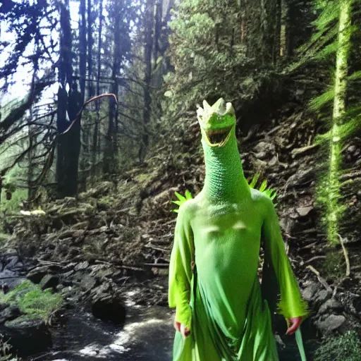 Image similar to photograph of a wizard lizard man at oregon hotsprings