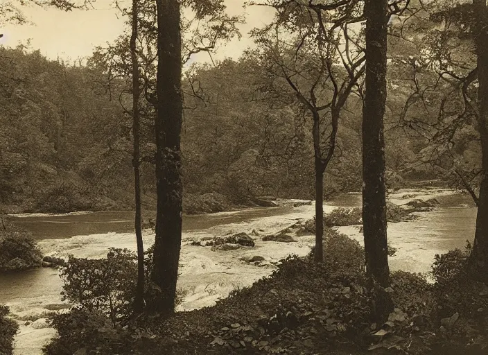 Image similar to Overlook of a river flowing through a tarot card forest, albumen silver print by Timothy H. O'Sullivan.