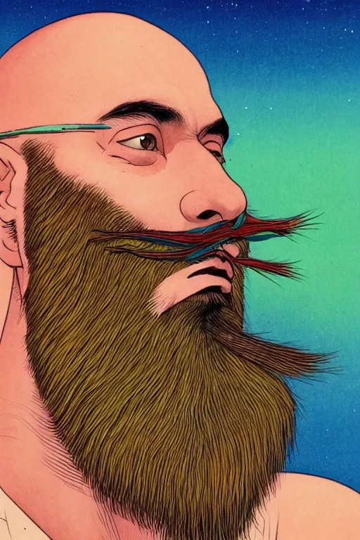 Image similar to a colorful closeup portrait of a young bald man with a very long wild beard dreaming psychedelic hallucinations in the vast icy landscape of antarctica, by kawase hasui, moebius and edward hopper, colorful flat surreal design, hd, 8 k, artstation