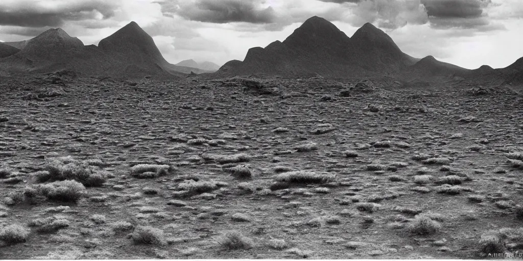 Prompt: the surface of an alien planet award winning photography by ansel adams