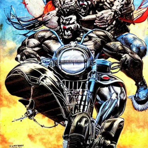 Image similar to lobo on jetbike, art simon bisley, hyperdetailed