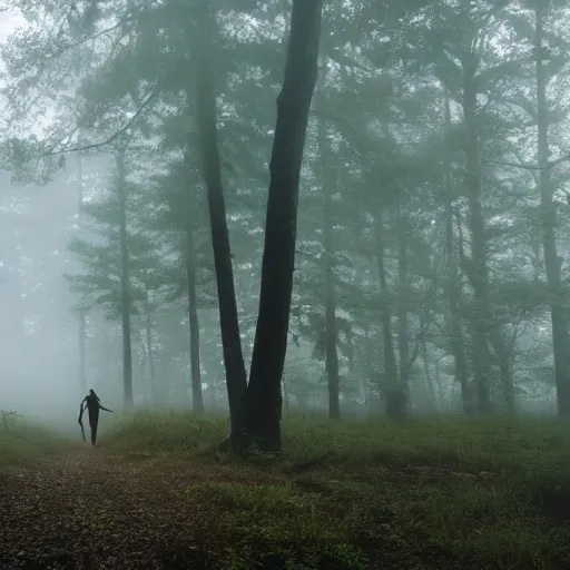 Prompt: person in the middle of the forest with fog hyperrealistic