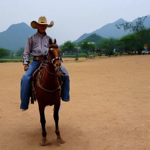 Image similar to cowboy in china