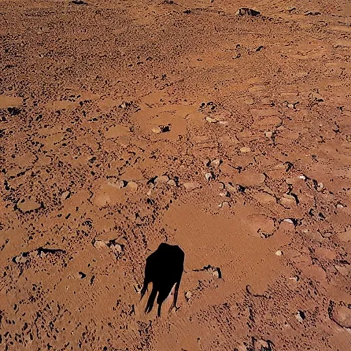 Prompt: “cow on mars”