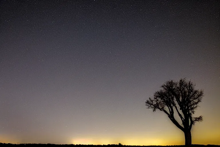 Image similar to a night sky photo during a heavy perseid meteor shower. a withered tree is in the foreground. a very detailed 4 k space photo. sence of awe, featured on flickr