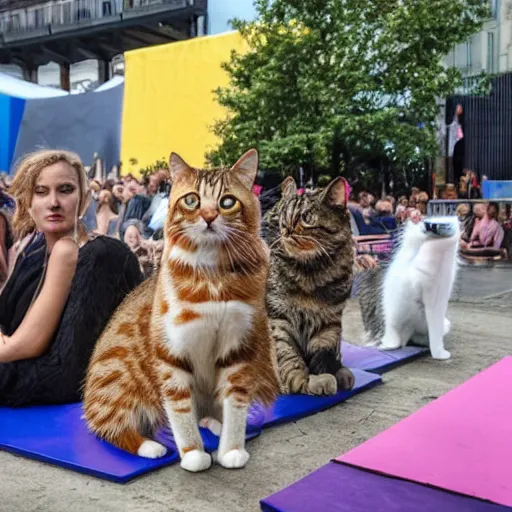 Image similar to cats and dogs at flow festival