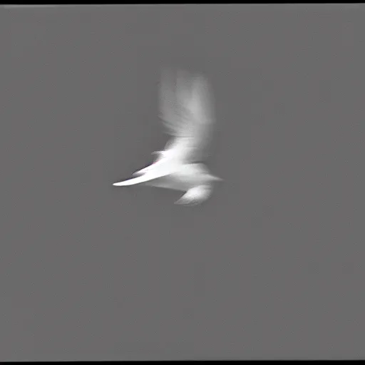 Prompt: a realistic photo of a dove flying in a completely black room, 8k, film grain, highly detailed