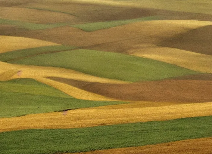 Image similar to painterly minimal endless bland pale bleached sloping wheat farmland by from mulan ( 1 9 9 7 )