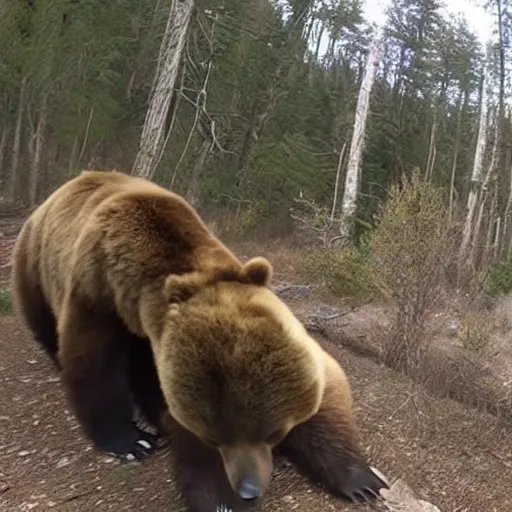 Image similar to trailcam footage of emma watson head locking a bear