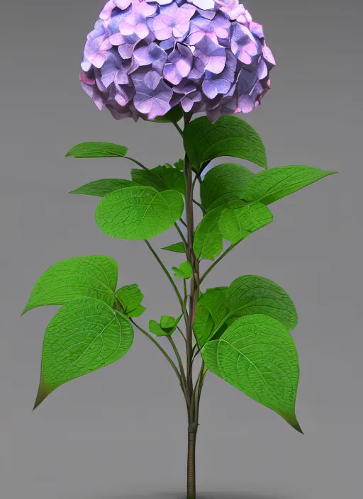 Prompt: an isolated hydrangea plant, 3 d rendered, art nouveau style, ultra realistic, masked transparent flat background, popular on sketchfab, pixelsquid, 8 k, volumetric lighting, super focused, no blur, trending on artstation, octane render, ultra detailed, hyperrealistic, by alphonse mucha