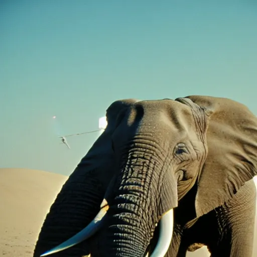 Image similar to photo of elephant on the background of mos eisley on tatooine, 5 0 mm, beautiful photo